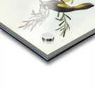 New Holland Honey-eaterillustrated by Elizabeth Gould 1804–1841 for John Gould’s 1804-1881 Birds of Australia  Acrylic print