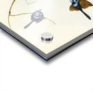 Blue Wren Malurus cyaneus illustrated by Elizabeth Gould 1804–1841 for John Gould’s 1804-1881 Birds of Australia  Acrylic print