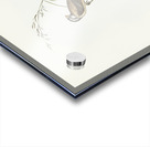 Yellow-breasted Robin Eopsaltria Australis illustrated by Elizabeth Gould 1804–1841 for John Gould’s 1804-1881 Birds of Australia  Acrylic print