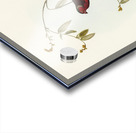 Crimson Finch Estrelda Phaeton illustrated by Elizabeth Gould 1804–1841 for John Gould’s 1804-1881 Birds of Australia  Acrylic print