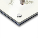 Fire-tailed Finch illustrated by Elizabeth Gould 1804–1841 for John Gould’s 1804-1881 Birds of Australia  Acrylic print