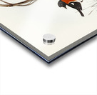 Norfolk Island Robin Petroica erythrogastra illustrated by Elizabeth Gould 1804–1841 for John Gould’s 1804-1881 Birds of Australia  Acrylic print