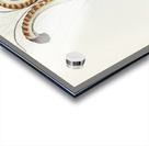 Lyre Bird Menura superba illustrated by Elizabeth Gould 1804–1841 for John Gould’s 1804-1881 Birds of Australia  Acrylic print