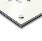 Red-tailed Finch Estrelda ruficauda illustrated by Elizabeth Gould 1804–1841 for John Gould’s 1804-1881 Birds of Australia  Acrylic print