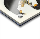 Gould&39s Neomorpha Neomorpha Gouldii illustrated by Elizabeth Gould 1804–1841 for John Gould’s 1804-1881 Birds of Australia  Acrylic print