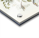 Chestnut-breasted Finch Donacola castaneothorax illustrated by Elizabeth Gould 1804–1841 for John Gould’s 1804-1881 Birds of Australia  Acrylic print