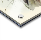 Grey-rumped Sandpaper Totanus griseopygius illustrated by Elizabeth Gould 1804–1841 for John Gould’s 1804-1881 Birds of Australia  Acrylic print