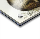 The Emu Dromaius Novae-Hollandiae illustrated by Elizabeth Gould 1804–1841 for John Gould’s 1804-1881 Birds of Australia  Acrylic print