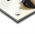 Australian Cassowary Casuarius australis illustrated by Elizabeth Gould 1804–1841 for John Gould’s 1804-1881 Birds of Australia  Acrylic print