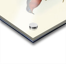 Chestnut-breasted Cuckoo Cacomantis castaneiventris illustrated by Elizabeth Gould 1804–1841 for John Gould’s 1804-1881 Birds of Australia  Acrylic print