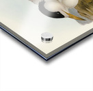 Torres Straits Tern Thalasseus Pelecanoides illustrated by Elizabeth Gould 1804–1841 for John Gould’s 1804-1881 Birds of Australia  Acrylic print