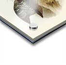 Red-necked Rail Rallina tricolor illustrated by Elizabeth Gould 1804–1841 for John Gould’s 1804-1881 Birds of Australia  Acrylic print