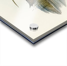 Spotted Water Crake Porzana fluminea illustrated by Elizabeth Gould 1804–1841 for John Gould’s 1804-1881 Birds of Australia  Impression Acrylique