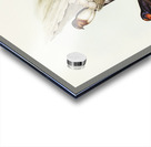 Welcome Swallow Hirundo neoxena illustrated by Elizabeth Gould 1804–1841 for John Gould’s 1804-1881 Birds of Australia  Acrylic print