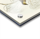 Singing Honey-eater Ptilotis sonorus illustrated by Elizabeth Gould 1804–1841 for John Gould’s 1804-1881 Birds of Australia  Acrylic print