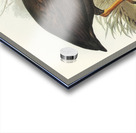 Mound-raising Megapode Megapodius Tumulus illustrated by Elizabeth Gould 1804–1841 for John Gould’s 1804-1881 Birds of Australia  Acrylic print