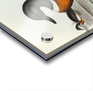 Chesnut-Coloured Shieldrake Casarca Tadornoides illustrated by Elizabeth Gould 1804–1841 for John Gould’s 1804-1881 Birds of Australia  Acrylic print