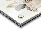 Australian Swift Cypselus Australis illustrated by Elizabeth Gould 1804–1841 for John Gould’s 1804-1881 Birds of Australia  Acrylic print