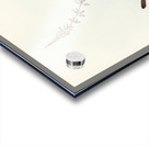 White-fronted Sericornis Sericornis frontalis illustrated by Elizabeth Gould 1804–1841 for John Gould’s 1804-1881 Birds of Australia  Acrylic print