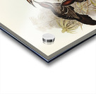 Chestnut-crowned Pomatorhinus Pomatorhinus ruficeps illustrated by Elizabeth Gould 1804–1841 for John Gould’s 1804-1881 Birds of Australia  Acrylic print