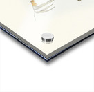 Chestnut-rumped Acanthiza Acanthiza uropygialis illustrated by Elizabeth Gould 1804–1841 for John Gould’s 1804-1881 Birds of Australia  Acrylic print