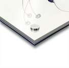 White-winged Wren Malurus leucopterus illustrated by Elizabeth Gould 1804–1841 for John Gould’s 1804-1881 Birds of Australia  Acrylic print