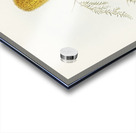 Little Acanthiza Acanthiza nana illustrated by Elizabeth Gould 1804–1841 for John Gould’s 1804-1881 Birds of Australia  Acrylic print