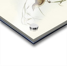 Crested Cockatoo Cacatua galerita illustrated by Elizabeth Gould 1804–1841 for John Gould’s 1804-1881 Birds of Australia  Acrylic print