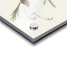 Emu Wren tipiturus malachurus illustrated by Elizabeth Gould 1804–1841 for John Gould’s 1804-1881 Birds of Australia  Acrylic print