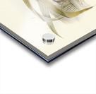 Hoary-headed Grebe Podiceps poliocephalus illustrated by Elizabeth Gould 1804–1841 for John Gould’s 1804-1881 Birds of Australia  Acrylic print