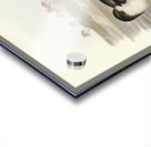 Cooks Petrel Procellaria Cookii illustrated by Elizabeth Gould 1804–1841 for John Gould’s 1804-1881 Birds of Australia  Acrylic print