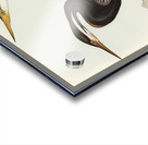 New Holland Darter Plotus Novae-Hollandiae illustrated by Elizabeth Gould 1804–1841 for John Gould’s 1804-1881 Birds of Australia  Acrylic print