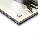 Giant Petrel Procellaria gigantea illustrated by Elizabeth Gould 1804–1841 for John Gould’s 1804-1881 Birds of Australia  Acrylic print