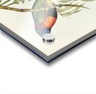 Red-collared Lorikeet Trichoglossus rubritorquis illustrated by Elizabeth Gould 1804–1841 for John Gould’s 1804-1881 Birds of Australia  Acrylic print