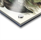 Glossy Ibis Falcinellus igneus illustrated by Elizabeth Gould 1804–1841 for John Gould’s 1804-1881 Birds of Australia  Acrylic print