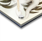 Australian Egret Hrodias syrmatophorus illustrated by Elizabeth Gould 1804–1841 for John Gould’s 1804-1881 Birds of Australia  Acrylic print