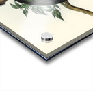 Thick-billed Green Bittern Ardetta macrorhyncha illustrated by Elizabeth Gould 1804–1841 for John Gould’s 1804-1881 Birds of Australia  Acrylic print