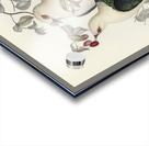 White-headed Fruit Pigeon Carpophaga leucomela illustrated by Elizabeth Gould 1804–1841 for John Gould’s 1804-1881 Birds of Australia  Acrylic print