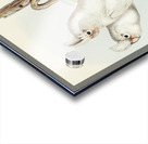 Blood-stained Cockatoo Cacatua sanguinca illustrated by Elizabeth Gould 1804–1841 for John Gould’s 1804-1881 Birds of Australia  Acrylic print