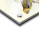 Yellow-rumped Parakeet Platycercus flaveolus illustrated by Elizabeth Gould 1804–1841 for John Gould’s 1804-1881 Birds of Australia  Impression Acrylique