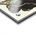 Western Black Cockatoo Calyptorhynchus naso illustrated by Elizabeth Gould 1804–1841 for John Gould’s 1804-1881 Birds of Australia  Acrylic print