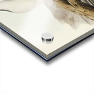 White-breasted Cormorant Phalacrocorax leucogaster illustrated by Elizabeth Gould 1804–1841 for John Gould’s 1804-1881 Birds of Australia  Impression Acrylique