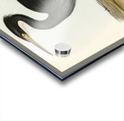 Sombre Egret Herodias pannosus illustrated by Elizabeth Gould 1804–1841 for John Gould’s 1804-1881 Birds of Australia  Acrylic print