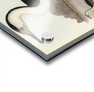 Pied Cormorant Phalacrocorax hypoleucus illustrated by Elizabeth Gould 1804–1841 for John Gould’s 1804-1881 Birds of Australia  Acrylic print