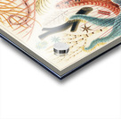 Great Barrier Reef Echinoderms from The Great Barrier Reef of Australia 1893 by William Saville-Kent 1845-1908. Fig 1: Isis HippurisFig 2: Queensland black coral Antipathes abiesFig 3: Ctenocella PectinataFig 4: Gorgonia AustraliensisFig 5: Melitodes Acrylic print