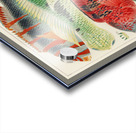 Great Barrier Reef Fishes from The Great Barrier Reef of Australia 1893 by William Saville-Kent 1845-1908.  Fig 1: Orange banded parrot fish Xiphochilus Fasciatus Fig 2: Hodgkinson&39s parrot fish Choerops Hodgkinsonii Fig 3: Scarlet banded Parrot fish C Acrylic print