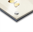 Little Sulphur Terias Lisa from Moths and butterflies of the United States 1900 by Sherman F. Denton 1856-1937.  Acrylic print