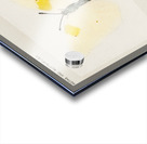 Aphrodite Fritillary Argynnis Aphrodite from Moths and butterflies of the United States 1900 by Sherman F. Denton 1856-1937.  Acrylic print