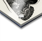 Epione Underwing Catocala epione from Moths and butterflies of the United States 1900 by Sherman F. Denton 1856-1937.  Acrylic print