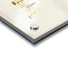 Small Cabbage White Pieris Rapae from Moths and butterflies of the United States 1900 by Sherman F. Denton 1856-1937.  Acrylic print